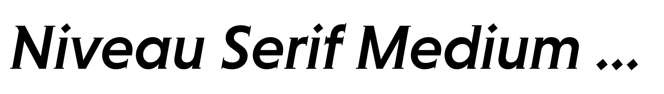 Niveau Serif Medium Italic
